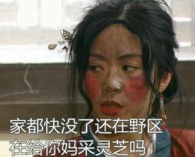 曝光骂人吃瓜视频,吃瓜群众围观骂人视频引发热议