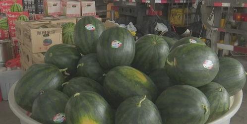 吃瓜视频一般多少钱,吃瓜视频，价格几何？