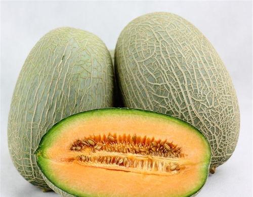 扑克王吃哈密瓜视频教程,扑克王教你轻松学会哈密瓜牌技