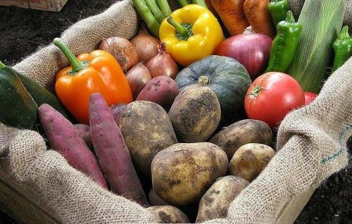 美业吃瓜视频素材,吃瓜视频带你探秘美容行业风云