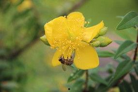 吃瓜打脸视频下载安装最新,下载安装最新版全攻略