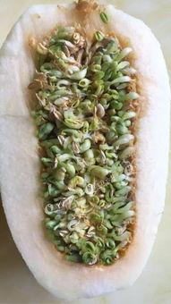 石瓜的籽可以吃嘛视频,揭秘可食用石瓜籽的秘密