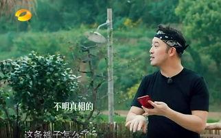 乡村吃瓜事件真相视频,真相视频曝光背后的惊人内幕