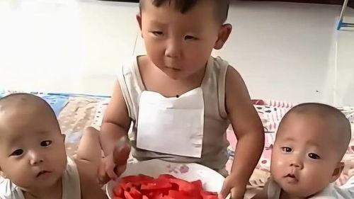 哥哥弟弟吃瓜视频,哥哥弟弟的吃瓜视频大揭秘