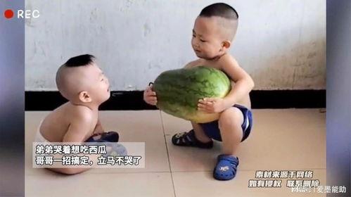 哥哥弟弟吃瓜视频,哥哥弟弟的吃瓜视频大揭秘