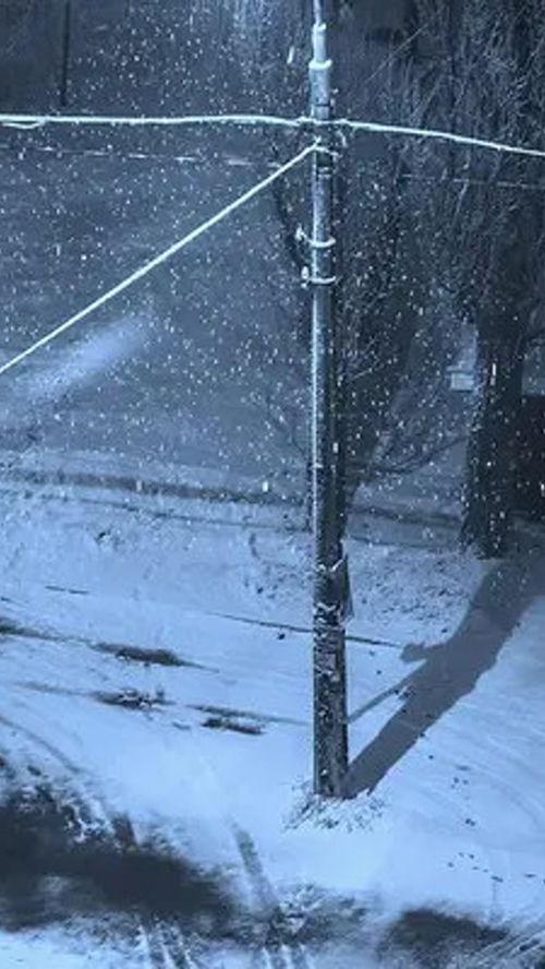 下雪吃瓜的视频,冬日里的欢乐时光