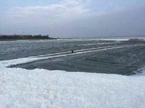 下雪吃瓜的视频,冬日里的欢乐时光