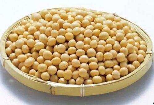 吃瓜小黄豆视频下载安装,轻松下载安装，畅享视频乐趣