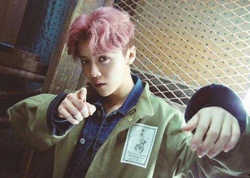 吃瓜少女拍到鹿晗视频,镜头下的偶像瞬间