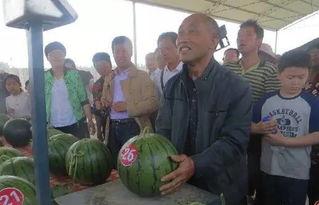 新乡吃瓜群众事件视频曝光,视频曝光揭示惊人真相