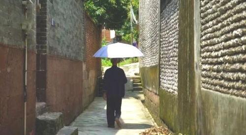 迎新凉亭吃瓜事件视频完整版,揭秘视频完整版背后的真相与争议