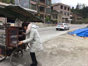 旅游群众吃瓜视频,吃瓜群众镜头下的美食盛宴