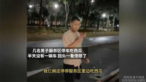 天嘉吃瓜视频在线观看免费,免费在线观看，揭秘娱乐圈幕后故事