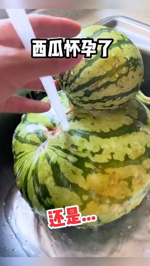 趣味吃瓜视频,趣味视频带你领略娱乐圈风云变幻