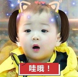 大嘴猴吃瓜搞笑视频,笑料横生！