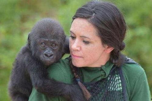 女子吃瓜像猩猩的视频