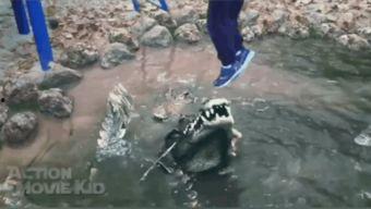 吃瓜鳄鱼的视频大全集播放,趣味视频大全集精彩回顾