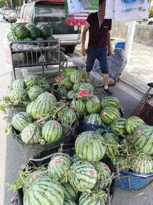 微山吃瓜喝药事件视频,揭秘背后真相与反思