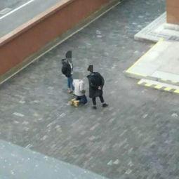 女朋友下跪吃瓜视频大全,盘点那些搞笑又感人的视频瞬间