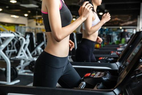 健身房健身视频吃瓜,揭秘健身房里的趣味瞬间