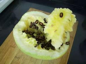 籽瓜怎么切方便吃视频,轻松美味，一招搞定