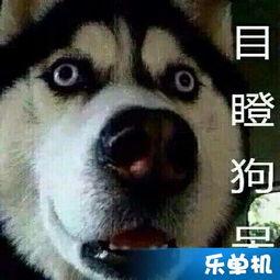 吃瓜哭的视频完整版,情感爆发背后的感人故事