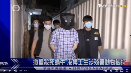 香港队员吃瓜视频播放,揭秘幕后花絮与网友热议