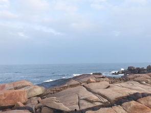 海角吃瓜真实视频下载,真实视频下载背后的故事