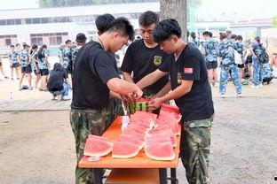 塔城吃瓜群众事件真相视频,真相与背后故事