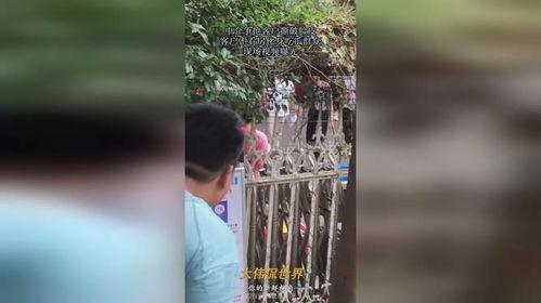 电视剧中吃瓜的现场视频,电视剧吃瓜盛宴，观众热情高涨