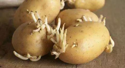 母亲吃瓜进医院视频,夏季饮食需谨慎