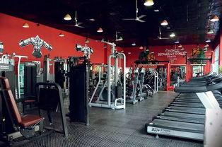 西昌月华健身房吃瓜视频,揭秘健身圈幕后风云