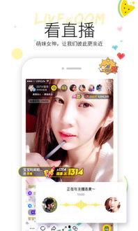 快乐小韩在线吃瓜视频,快乐小韩带你领略网络吃瓜盛宴