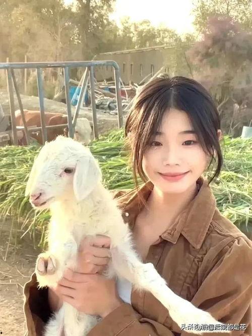 刘伟吃羊瓜最新视频,趣味横生美食瞬间