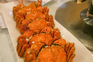 美女吃辣酱蟹瓜视频大全,美女挑战味蕾极限，视频大全来袭！