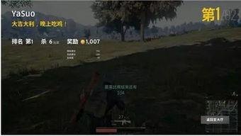 麻瓜龙玩吃鸡视频,麻瓜龙带你领略吃鸡游戏的欢乐与刺激