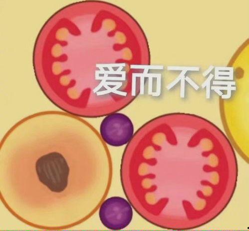 合成大西瓜吃瓜视频,吃瓜视频中的趣味与创意