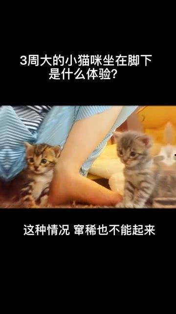 吃瓜十五分钟视频