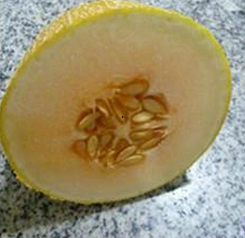 干哈密瓜煮着吃的做法视频,干哈密瓜的别样烹饪之旅