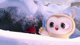 农村吃瓜表演视频,农村吃瓜表演视频引网友热议