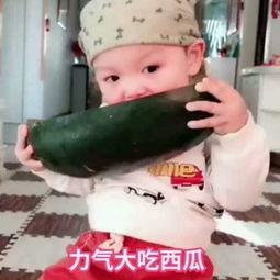 福宝吃瓜视频在线观看,带你领略网络热点的魅力瞬间