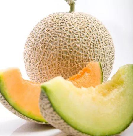 吃哈密瓜视频模板幼儿园,哈密瓜视频分享，甜蜜童年时光