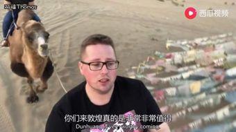 东关大叔吃瓜视频全集免费