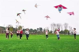 放风筝吃瓜的视频,一场别开生面的放风筝吃瓜盛宴