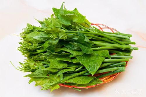 吃瓜尖视频,带你领略网络娱乐新风尚