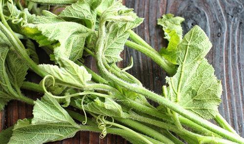 吃瓜尖视频,带你领略网络娱乐新风尚