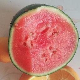 孝义吃瓜视频,揭秘当地特色美食背后的感人故事