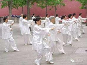 太极拳吃瓜视频大全集,吃瓜视频大全集带你领略国术魅力