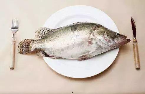 韩国吃活八瓜鱼视频,惊悚一幕！韩国民众现场品尝活八瓜鱼