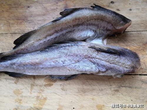 军人吃八瓜鱼视频,军人战士的独特味蕾体验